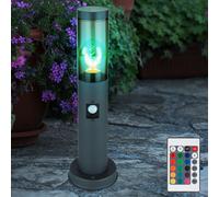 Lampadaire fumée anthracite lampadaire avec détecteur de mouvement lampadaire en acier inoxydable, télécommande dimmable, 1x LED RGB 8,5W 806Lm, DxH 7,6x45 cm