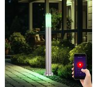 Lampadaire d'extérieur à intensité variable, lampe de jardin Smart LED, lampe d'extérieur en acier inoxydable, application et commande vocale, changement de couleur RVB, 10W 806lm blanc chaud/blanc froid, DxH 7,6x80 cm