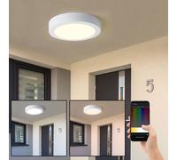 Plafonnier, applique murale, lampe d'extérieur, applique murale maison, fonte d'aluminium, blanc, plastique, circuit CCT, IP44 anti-éclaboussures, variateur, LED maison intelligente, Eglo, 98171