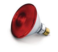 Beurer Ampoule infrarouge IL 21 / IL 30 150 W G