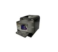 Lampe d'origine BL-FU310A / FX.PM484-2401 avec boîtier/OEM for projecteurs O-TOMA X501 W501 EH501 EW420 HD151X HD36(OBH)