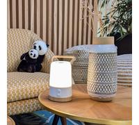 Lampe enceinte nomade rgb bluetooth - lumière et son dynamique