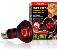 Lampe Exo Terra Basking Spot infrarouge 75 W