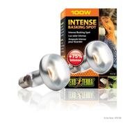 Lampe pour terrarium Exo Terra Intense Basking Spot 100W Argenté 8x8x12 cm