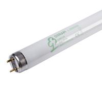 Osram Tube fluorescent l58840, en verre, blanc froid, G13, 58 W