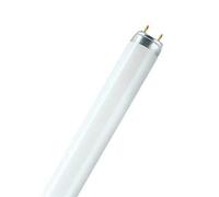 LAMPE FLUORESCENTE LINÉAIRE L 18W 76 18W G13 T8 4050300010519