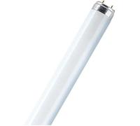Lampe fluorescente Osram Lumilux T8 - Prises G13L 16 W/840 - Blanc