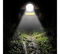 Lampe frontale LED rechargeable, XPE + COB lumière, lampe de travail magnétique, rotation à 360 °, lampe torche de charge USB pour camping, pêche, randonnée, noir (800 mAh)