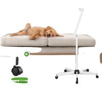 Lampe grossissante, grossissement 8x, LED à faible consommation d'énergie, blanc