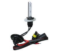 Lampe H1 Hid Xénon 12/24V 8000K Lumière Blanche 2500 Lumen Voiture Camion 1X