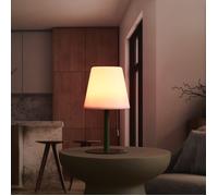 Lampe - HOME DECO FACTORY - Rechargeable - USB - IP44 - Verte