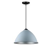 Lampe industrielle rétro simple simple tête abat-jour lustre bureau scandinave restaurant pendentif lumière barre de couleur couvre haute baie lumière e27 tête unique, un seul lustre