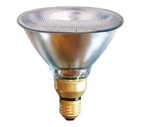 Lampe infrarouge économique Kerbl Argenté 100 W