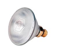 Lampe infrarouge économique Kerbl Philips Argenté 100 W