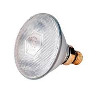 Lampe infrarouge économique Kerbl Philips Argenté 150 W