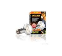 Lampe Intense Baskingspot 50w - Exo Terra