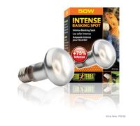 Lampe Intense Baskingspot 50w - Exo Terra - Couleur principale: Blanc - Animal: Caméléon