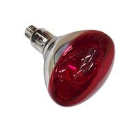 Philips 923212043801 ampoule infrarouge 250 W Bulbe