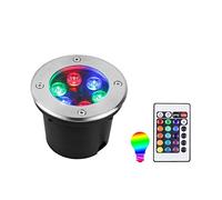 Lampe Jardin Enterré Changement de Couleur Spot Au Sol LED Télécommande IP68 Étanche Spot LED sous Marin Encastrable pour Extérieur, Jardin, sous-Marin, Piscine, Terrasse (Color : 220V, Size : 3W)