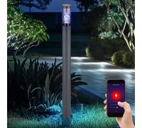 Borne d'éclairage de chemin LED intelligente, lampes de jardin d'extérieur, lampadaire d'extérieur anthracite à intensité variable, changement de couleur RVB, application et commande vocale, acier ino