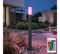 Lampe d'extérieur Télécommande Lampe de chemin dimmable Lampadaire changement de couleur, acier inoxydable anthracite, RGB LED 4W 470Lm blanc chaud, DxH 12,7x110 cm