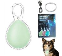 Lampe LED à clipser pour collier de chien, pour promenade nocturne, breloque rechargeable qui brille dans le noir, étanche IP67 pour la course de nuit, le cyclisme, la randonnée, le camping (vert)