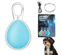 Lampe LED à clipser pour collier de chien, pour promenade nocturne, breloque rechargeable qui brille dans le noir, étanche IP67 pour la course de nuit, le cyclisme, la randonnée, le camping (bleu)