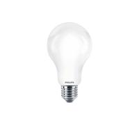 Ampoule LED - 17,5W - E27 - A67 - 4000K PHILIPS