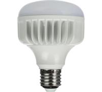 Lampe LED StudioKing lumière du jour 25W E27 FLED-25