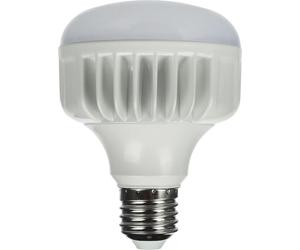 Lampe LED StudioKing lumière du jour 25W E27 FLED-25