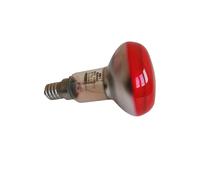 Lampe Ledvance R5040SPLGR Concentra R50 Rouge SP 40W 230V E14