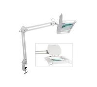 Lampe loupe 220v bras 3 dioptries 2x9w blanc eclai