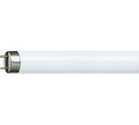Philips MASTER TL-D Super 80 ampoule fluorescente 36 W G13 Lumière du jour froide
