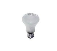 Lampe modèle Elinchrom - 100W 196V (pour D-Lite) | ✅ Livraison gratuite à partir de 100 €
