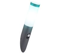 Lampe murale torche de jardin TÉLÉCOMMANDE en acier inoxydable dimmable dans un ensemble comprenant des ampoules LED RVB