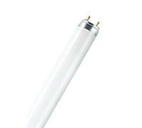 Lampe OSRAM LUMILUX T8 L 58 W/865 6500 K, 58 W, 865, 1500 mm