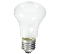 ELINCHROM Lampe pilote 100W E27-196V