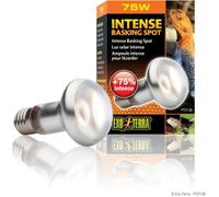 Lampe pour Caméléon - Exo Terra - Intense Baskingspot 75w - Blanc