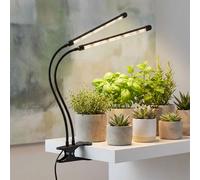 Pince spot lampe plante lampe de croissance IP44 lampe de table variateur minuterie LED
