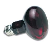 Lampe pour terrarium chauffante infrarouge Zoomed RS100 Rouge 100 W