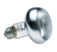 Lampe pour terrarium chauffante Zoomed SL100E Blanc 100 W