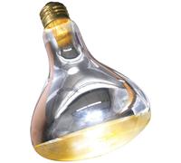 Lampe pour terrarium chauffante Zoomed SL250E Blanc 250 W