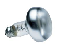 Zoo Med Lampe chauffante pour terrarium Basking Spot 40 W (ZMSL40E)