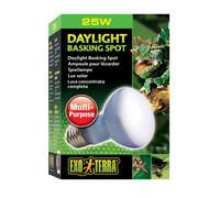 Lampe pour terrarium Exo Terra Daylight Basking Spot 25W Blanc 6,5x6,5x10 cm