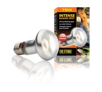 Lampe pour terrarium Exo Terra Intense Basking Spot 75W Argenté 6,5x6,5x10 cm