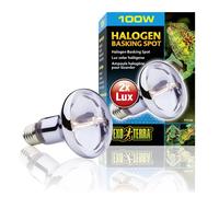 Lampe pour terrarium halogène Exo Terra Sun Glo 50W Argenté 6,5x6,5x10 cm