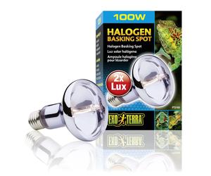 Lampe pour terrarium halogène Exo Terra Sun Glo 50W Argenté 6,5x6,5x10 cm