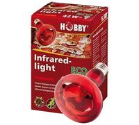 Lampe pour terrarium Hobby Infraredlight Eco Rouge 42 W
