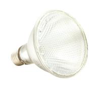 Lampe pour terrarium Komodogen Spot Blanc 35 W