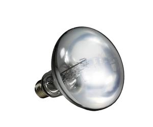 Lampe pour terrarium Reptiles Planet Ultrasun Argenté 80 W